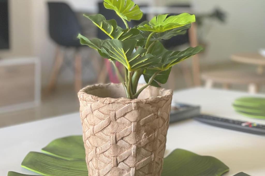 Ocean Deluxe Palm-Mar 아파트 외부 사진